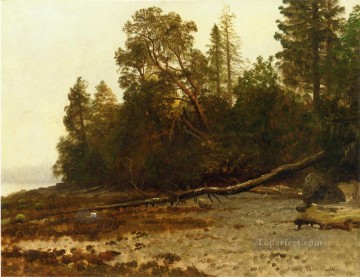 Bosque Painting - El árbol caído bosque de Albert Bierstadt